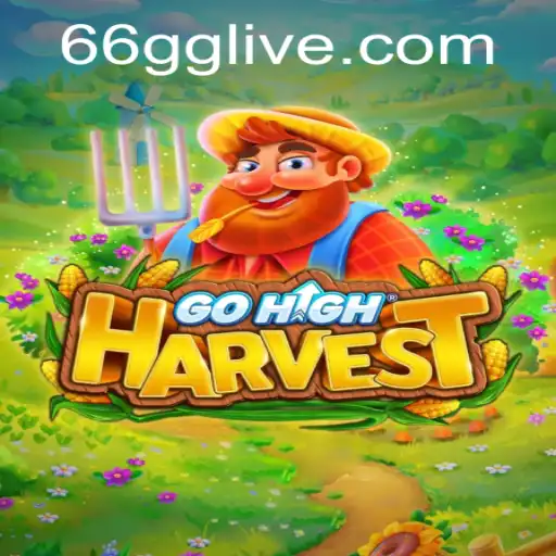 Introducing GoHighHarvest: A New Era in Casual Gaming