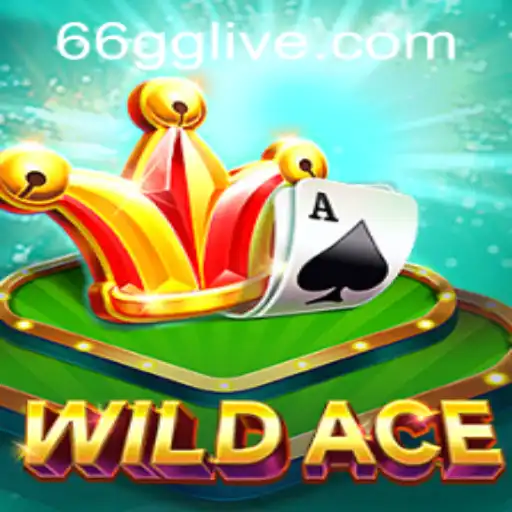 WildAce: An Exciting Adventure Meets Strategic Gameplay